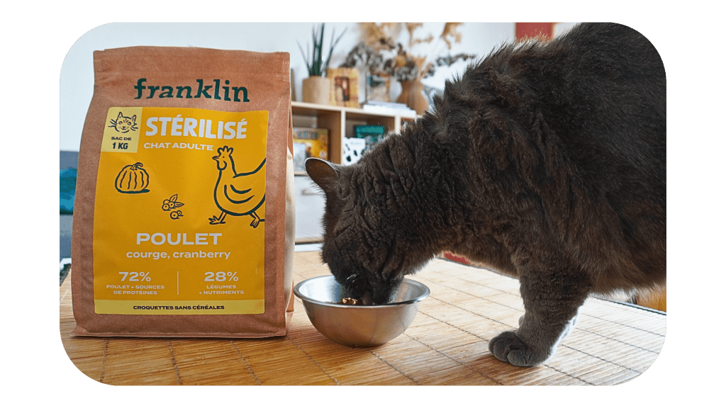 Croquettes franklin poulet courges